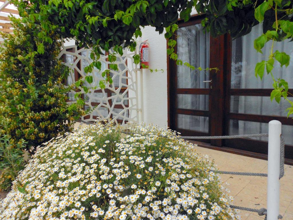 Aytas Hotel ไอวาลิค ภายนอก รูปภาพ